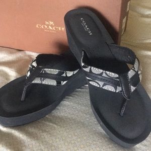 NIB Coach Jaden Wedge Sandals